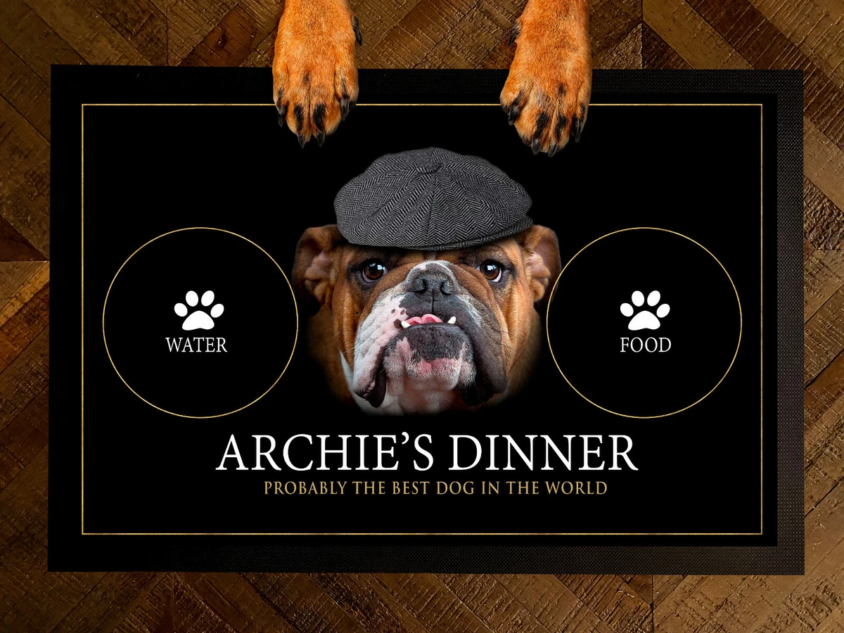 Best dog food bowls for sales english bulldogs