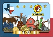 4x6 Postcard - Buc-ee's Baytown Texas  - Longhorn, Boots Bluebells Cactus- New