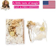 Real Dried Flowers for Crafts, Natural Dry Flowers for Crafts Mixed Natural P...