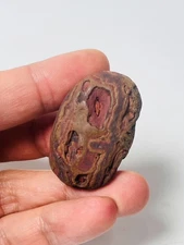 Natural Naga Heart Stone Leklai Naga Khong river Magic Best amulet healing Rock