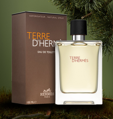 Terre D'Hermes By Hermes Eau De Toilette for Men 3.4oz/100ml