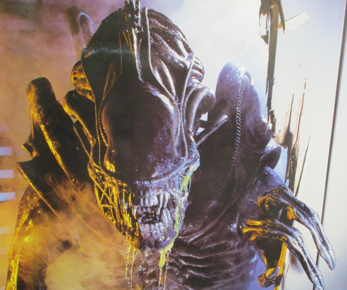 GIANT! 1987 ALIENS Rolled 6' DOOR POSTER 26