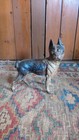 New ListingAntique Early Country Primitive Metal Cast Iron Boston Terrier Dog DoorStop 8.5"