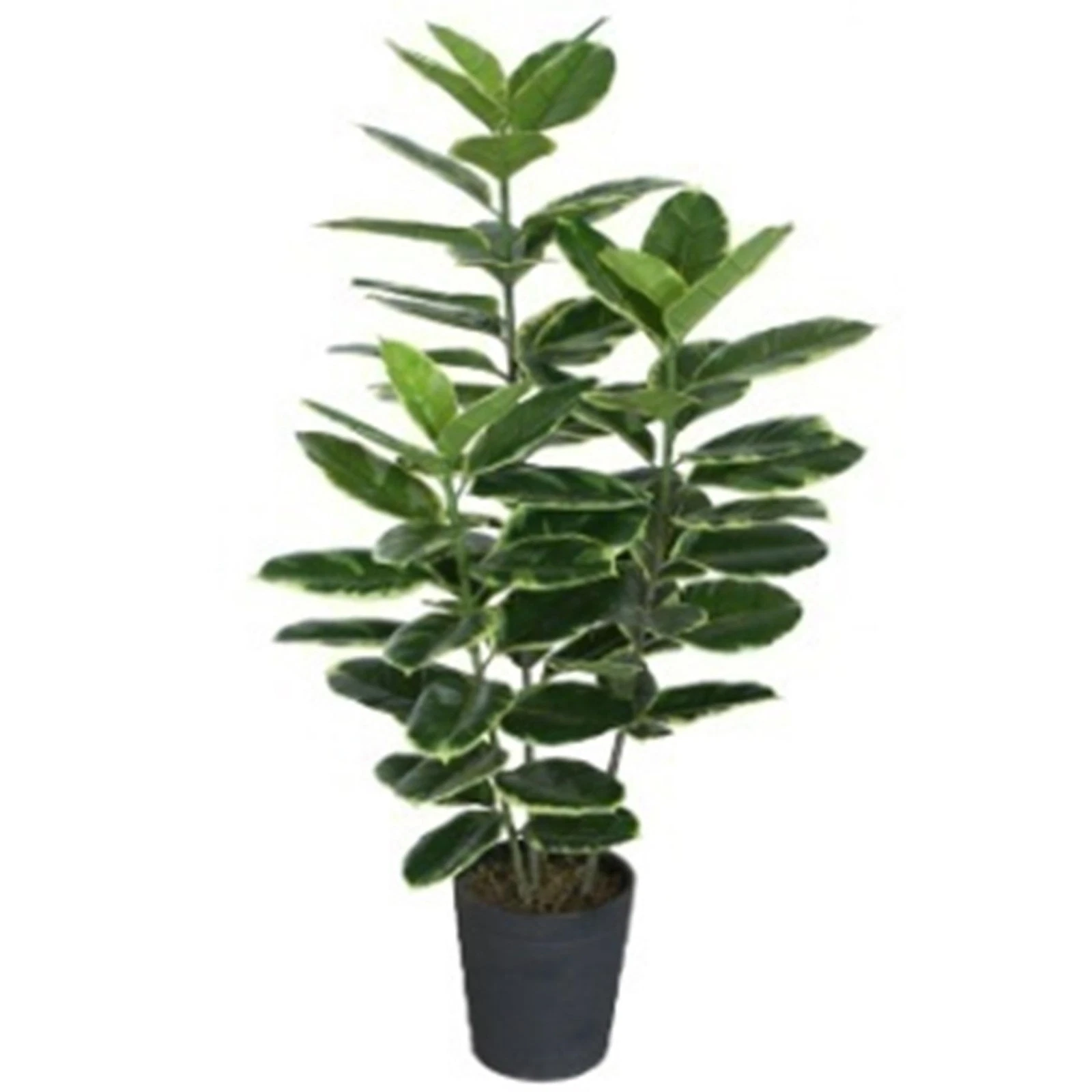 120cm Rubber Tree - 70628