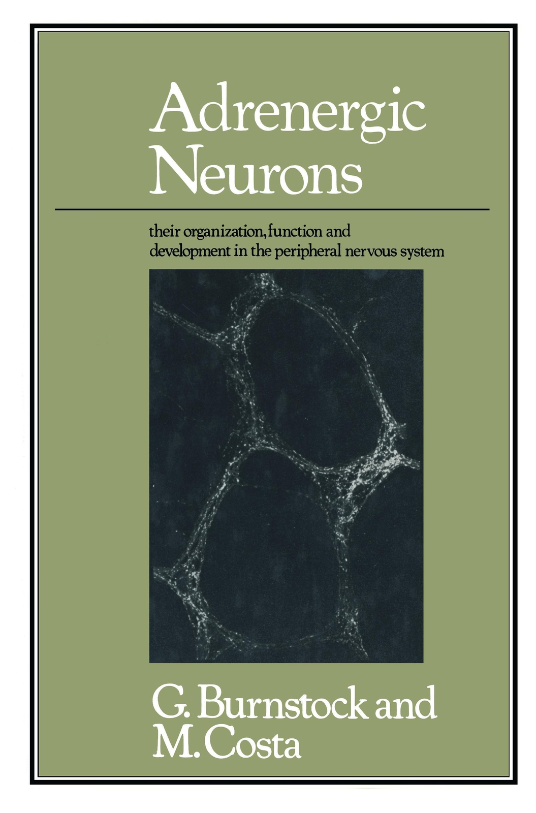 Adrenergic Neurons Geoffrey Burnstock And Marcello Costa Taschenbuch