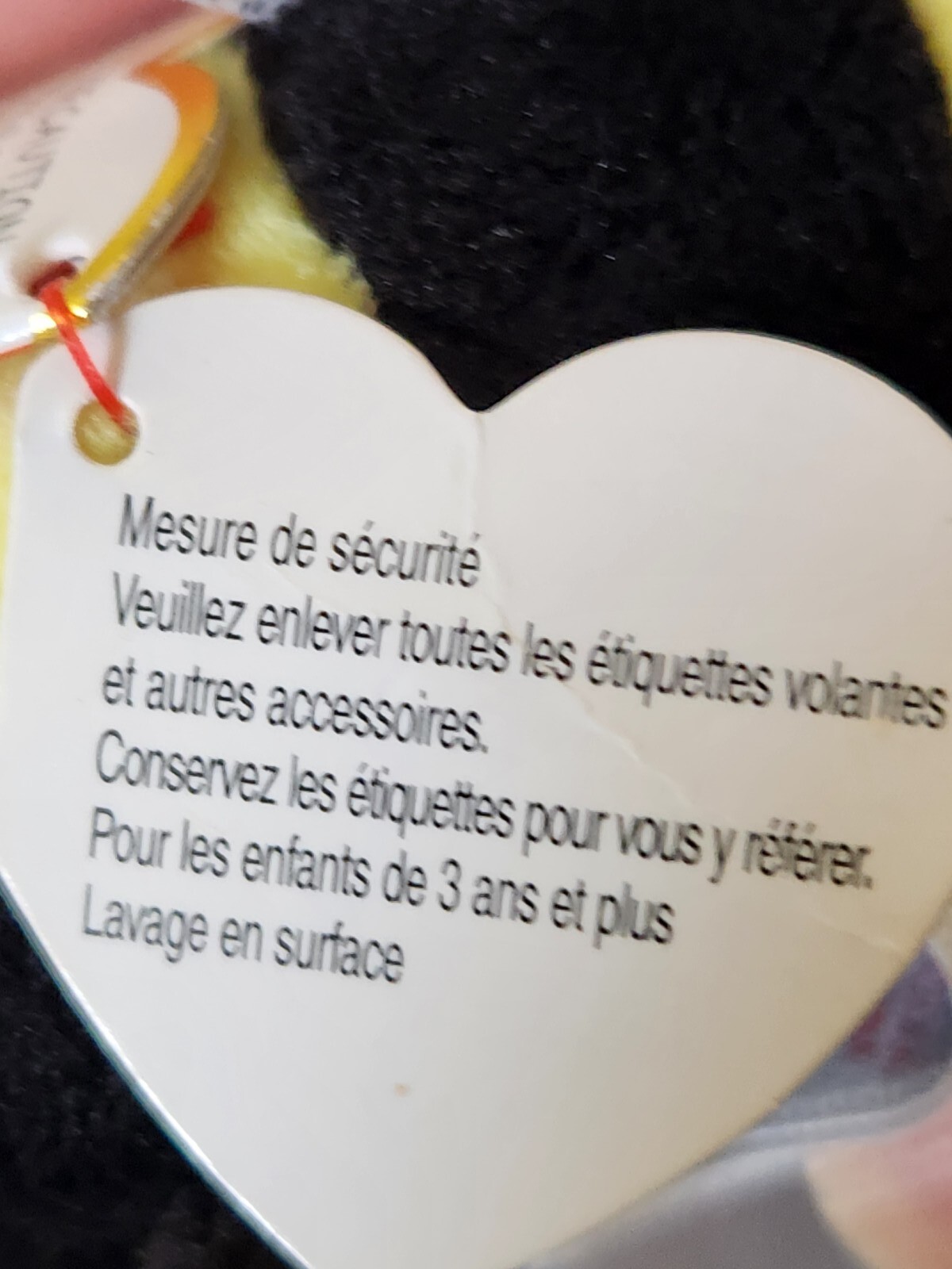 Foto 10 di 10