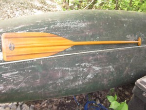 sawyer 60 in canoe paddle