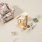 Bild 6 von 6