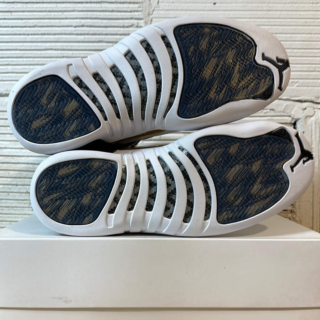 Air Jordan 12 Retro 'Wings' Men's Size 9 NEW Sneakers 848692-033