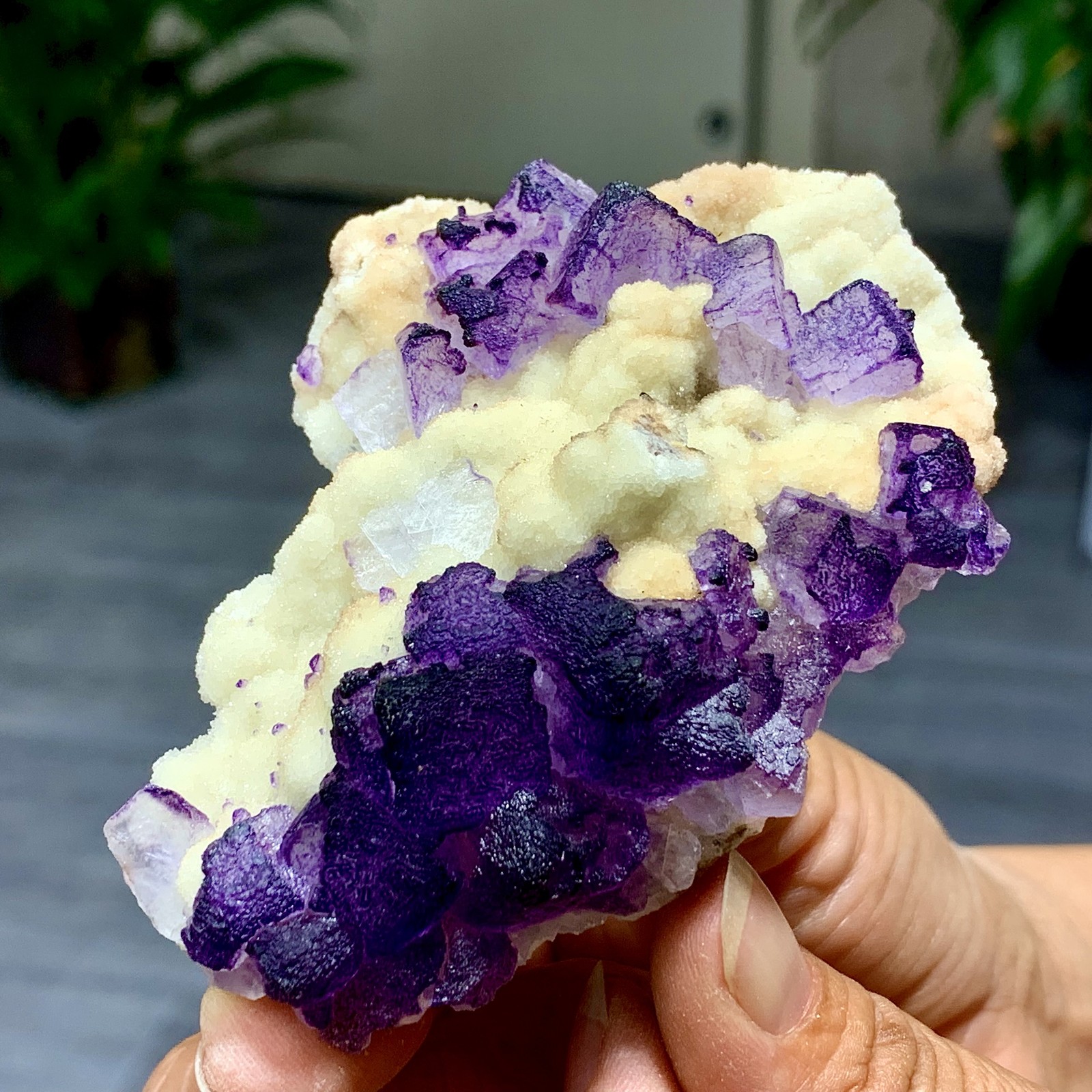 119G Rare transparent purple cubic fluorite mineral crystal sample/China