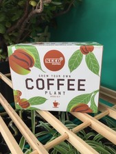Seed Pantry Grow Your Own Coffee Plant