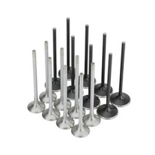 Skunk2 Racing For Honda K20c1 Alpha Series Intake Exhaust Valve Set Standard Skunk2 Racing For Honda K20c1 Alpha Series Intake Exhaust Valve Set Standard