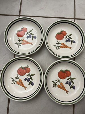 The Cellar Hand painted Made In Italy Vegetable Soup Bowl