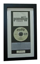 PRODIGY Experience CLASSIC CD Album GALLERY QUALITY FRAMED+EXPRESS GLOBAL SHIP