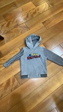 Boys Hoodie Sweater Sweatshirt, Paw Patrol, Grey, Size 3T, Gently Worn