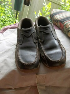 irish setter lakeside 3818