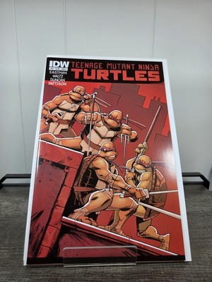 Teenage Mutant Ninja Turtles #12 Cover A-Dan Duncan (IDW Publishing July 2012)
