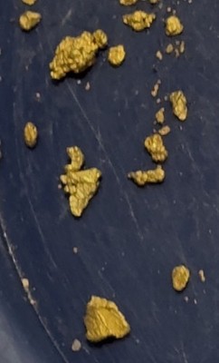 3lb Gold PayDirt Texas Honey Hole Added PICKERS Guaranteed Visible Gold