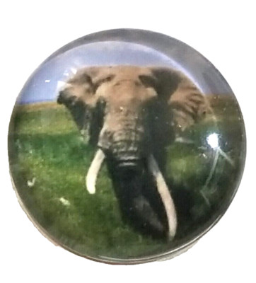 ELEPHANT 18mm/20mm GINGER SNAP BUTTON POPPER FOR INTERCHANGEABLE JEWELRY #4