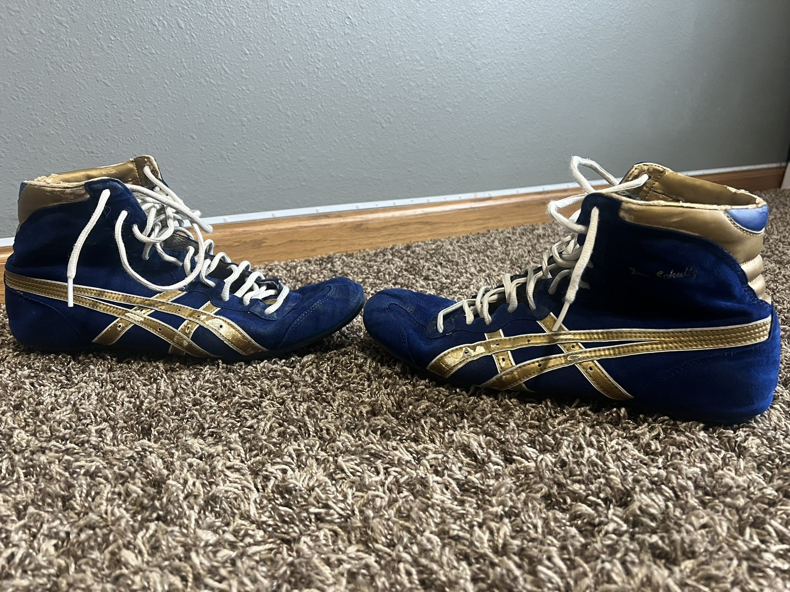 2014 Asics Dave Schultz RARE Wrestling Shoes Size 10.5 thumbnail 3