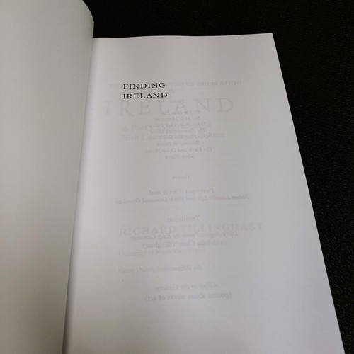 Irland finden: Erkundungen der irischen Literatur und Kultur eines Dichters - Bild 2 von 14