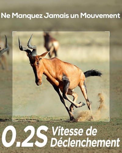 iZEEKER Caméra de Chasse 32MP HD Caméra Chasse avec 940nm IR LED No Glow Invi... - Photo 3/7