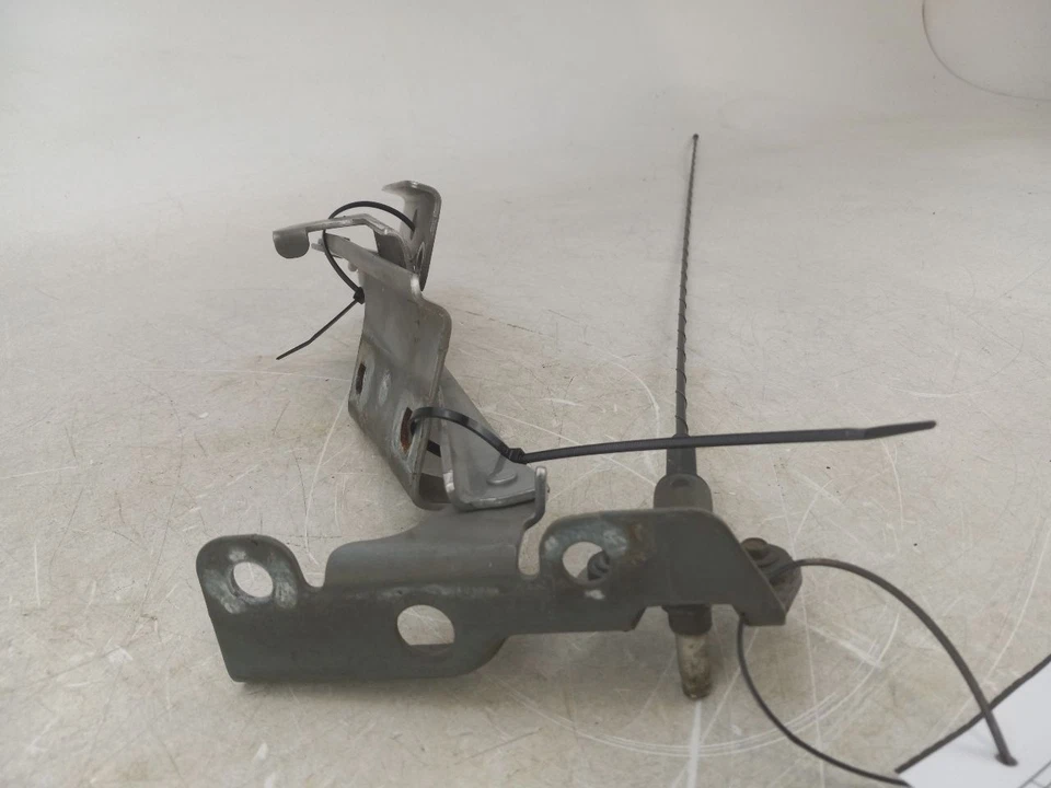 JUEGO DE BISAGRAS PARA CAPÓ CON RADIO ANTHENNA se adapta a Buick Rainier 2004 Foto 3 de 4