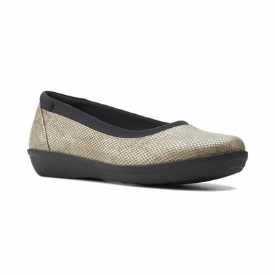 cloudsteppers ayla low