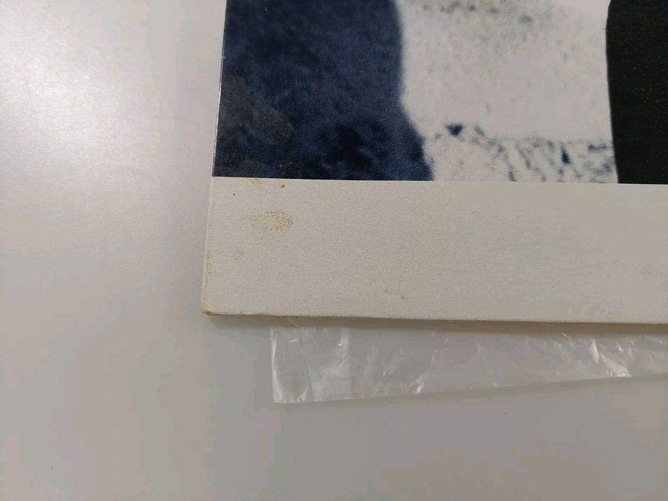 Sting The Dream of the Blue Turtles Vinyl Record LP A & M Records