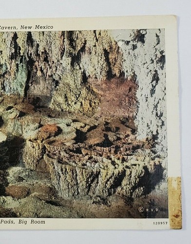 Lily Ponds Big Room Carlsbad Cavern, New Mexico - Unposted Postcard - NEW MEXICO - Picture 3 of 12
