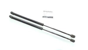 VW Golf 1.6 1HXO/1HX1/1EXO 2x Gasdruckdämpfer 1H6827550A 9459