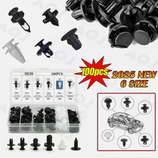 100 Pcs Kit Bumper Parts Car Body Rivet Trim Molding Retainer Assortments Clip 