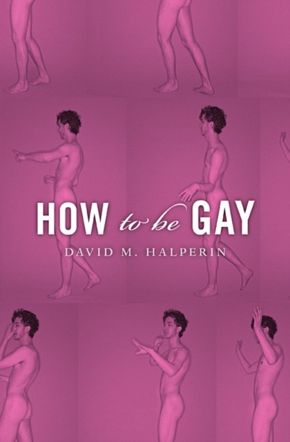 How To Be Gay - Image 3