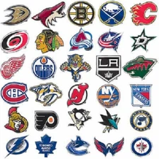 NHL Team Color Auto Emblem By Team ProMark -Select- Team Below