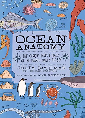 Ocean Anatomy by John Niekrasz, Julia Rothman - 9781635861600 - Image 3