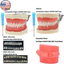 US Kilgore NISSIN 200/500 Type Dental Typodont Model With Screw-in Teeth