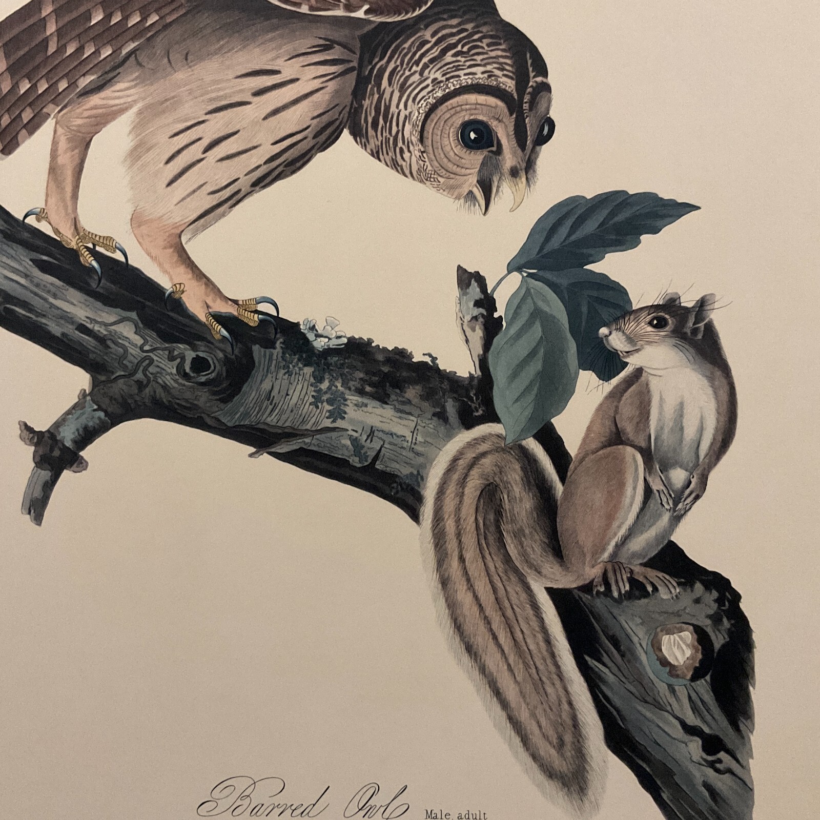 Picture 3 of 20