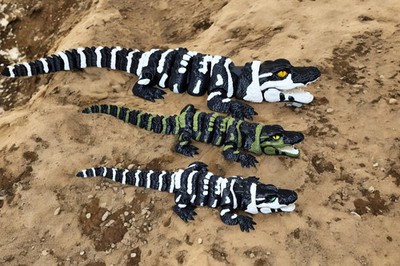 3D-Printed Articulated Alligator with Glass Eyes   Realistic & Poseable