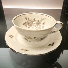 Winterling Schwarzenbach Tea Cup & Saucer Bone China Bavaria, Germany 1955 Mint
