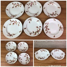 12 x Pieces of White Rosehip Pattern China Crockery