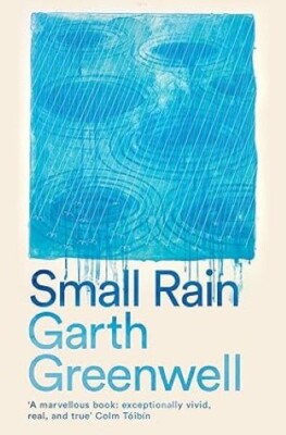 Small Rain/Garth Greenwell Garth Greenwell Paperback brand new