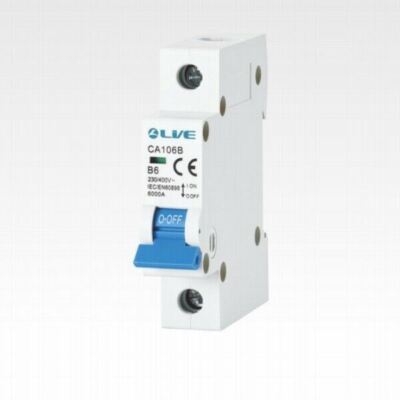 Live Electrical B6 B10 B16 B20 B32 B40 B50 B63 6KA einpolig MCBs Typ B CA