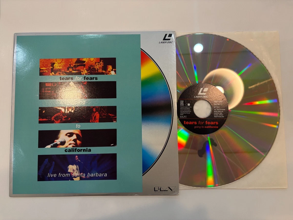 タレントグッズ 品切入手困難E.YAZAWA SBT(ロゴ星)ROCKイエロー