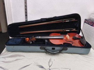 Eastar Violin 4/4 Full Size With 2 Bows & Case Right Handed