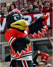 Tommy Hawk Chicago Blackhawks Unsigned Crowd Celebration 11