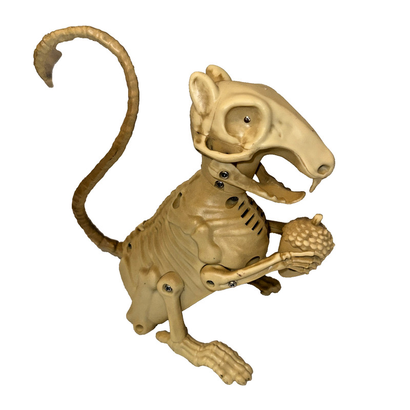 Squirrel Skeleton With Acorn Halloween  Sounds Eyes Light Up Animated