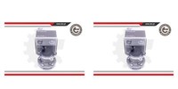 Esen SKV 2X Radnabe Radlagersatz Hinten FüR Ford Kuga II Transit Connect V408