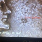 #756-1925 Lincoln Wheat Penny 1c No Mint Mark — photo 8