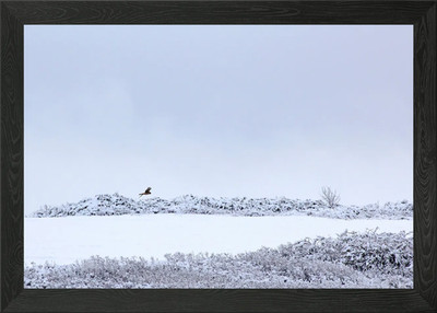 Image Picture Background Framed Wall Art Poster Canvas Print Picture