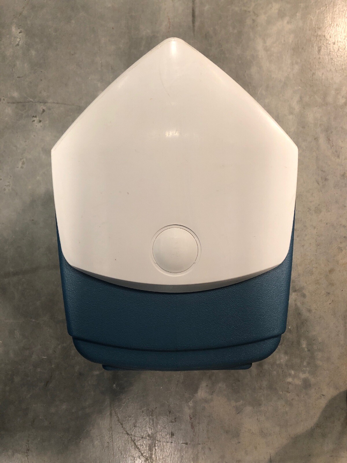 igloo playmate maxcold